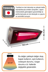 Goldsun Vetra 2500 Watt GSV25 Su Dayanıklı Seramik Camlı Elektrikli Isıtıcı-Siyah